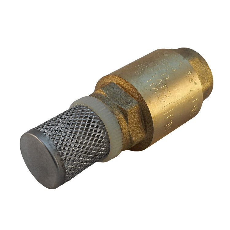 Foot Valve Brass G2''