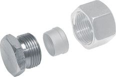 6S Zinc plated Steel Closing Plug for Tubes 630 Bar DIN 2353 [2 Pieces]