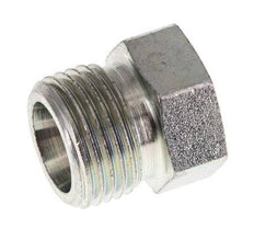 10S Zinc plated Steel Closing Plug for Tubes 630 Bar DIN 2353