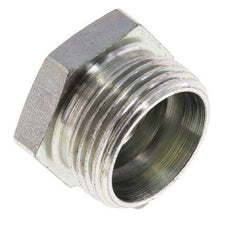 22L Zinc plated Steel Closing Plug for Tubes 160 Bar DIN 2353