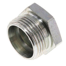 22L Zinc plated Steel Closing Plug for Tubes 160 Bar DIN 2353
