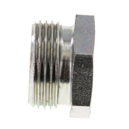 22L Zinc plated Steel Closing Plug for Tubes 160 Bar DIN 2353