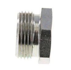 22L Zinc plated Steel Closing Plug for Tubes 160 Bar DIN 2353