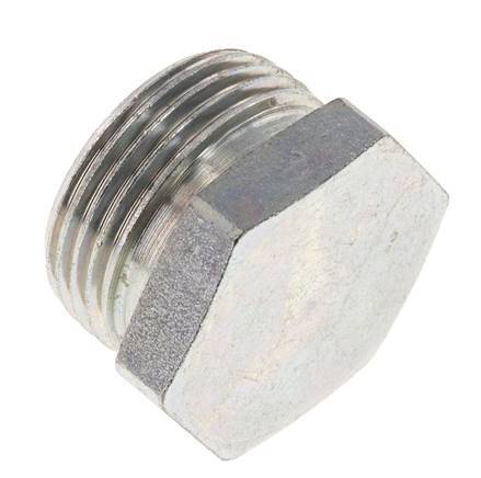 22L Zinc plated Steel Closing Plug for Tubes 160 Bar DIN 2353