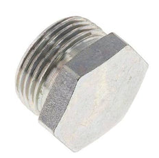 22L Zinc plated Steel Closing Plug for Tubes 160 Bar DIN 2353