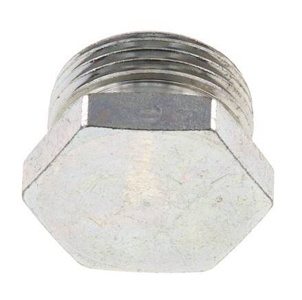 22L Zinc plated Steel Closing Plug for Tubes 160 Bar DIN 2353
