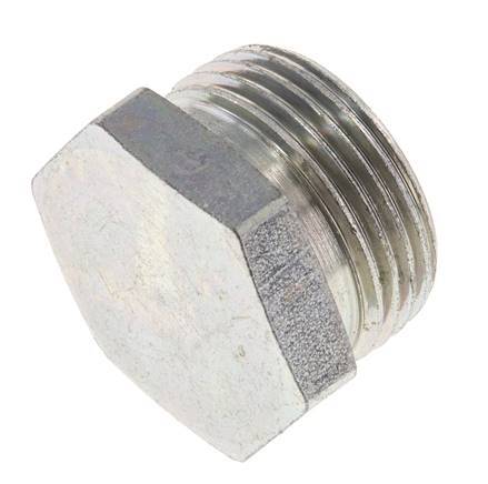 22L Zinc plated Steel Closing Plug for Tubes 160 Bar DIN 2353