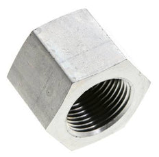 3/4'' NPT Zinc plated Steel Closing plug with Outer Hex 170 Bar