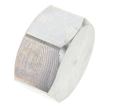 2'' NPT Zinc plated Steel Closing plug with Outer Hex 70 Bar