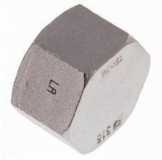 1 1/4'' NPT Stainless steel End cap 16 Bar