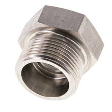 16S Stainless steel Closing Plug for Tubes 400 Bar DIN 2353