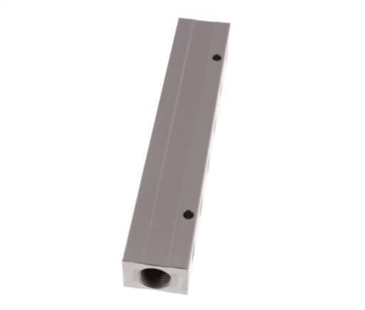 2xG 1/2'' x 12xG 1/4'' Aluminium Distributor Block Double-sided 16 Bar