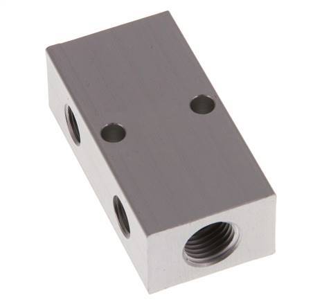 2xG 1/4'' x 2xG 1/8'' Aluminium Distributor Block One-sided 16 Bar