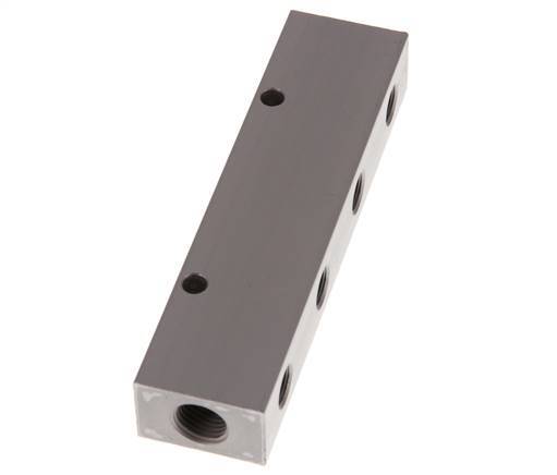 2xG 1/4'' x 4xG 1/8'' Aluminium Distributor Block One-sided 16 Bar