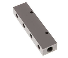 2xG 1/4'' x 4xG 1/8'' Aluminium Distributor Block One-sided 16 Bar