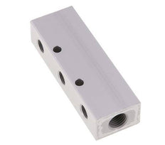 2xG 1/4'' x 6xG 1/8'' Aluminium Distributor Block Double-sided 16 Bar