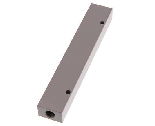 2xG 1/4'' x 6xG 1/8'' Aluminium Distributor Block One-sided 16 Bar