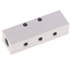 2xG 1/8'' x 3xM5 Aluminium Distributor Block One-sided 16 Bar