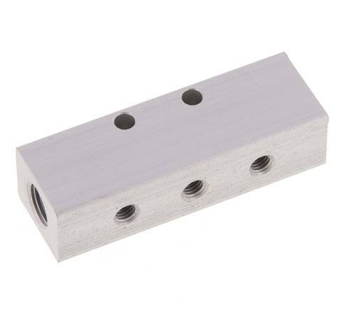 2xG 1/8'' x 6xM5 Aluminium Distributor Block Double-sided 16 Bar