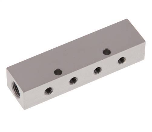 2xG 1/8'' x 8xM5 Aluminium Distributor Block Double-sided 16 Bar