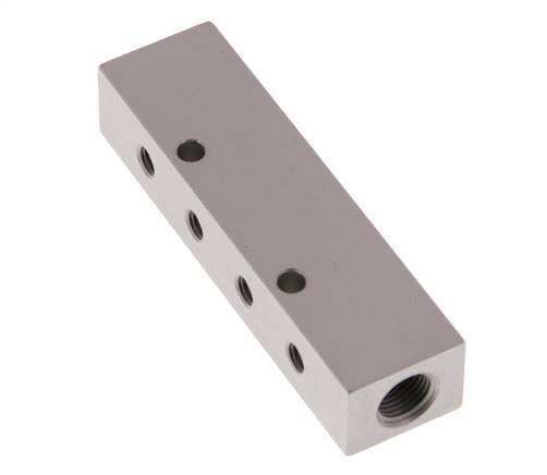 2xG 1/8'' x 8xM5 Aluminium Distributor Block Double-sided 16 Bar