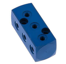 1xG 1/8'' x 9xM5 Aluminium Distributor Block One-sided 16 Bar