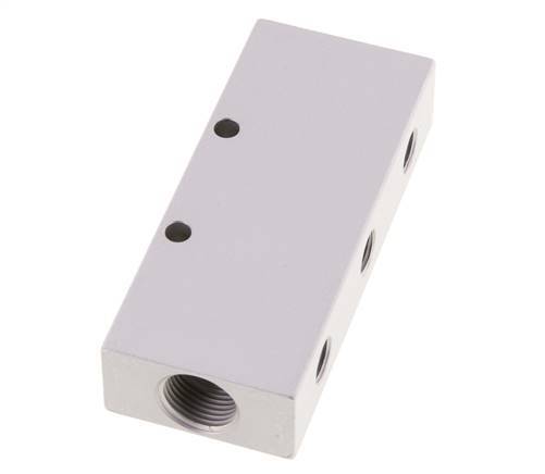 2xG 3/8'' x 6xG 1/8'' Aluminium Distributor Block Double-sided 16 Bar