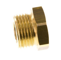 G 1/8'' x G 3/8'' F/M Brass Reducing Ring 16 Bar [5 Pieces]