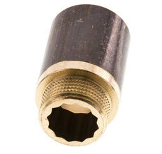 G 3/4'' F/M Brass Extension DIN 3523 - 40 mm