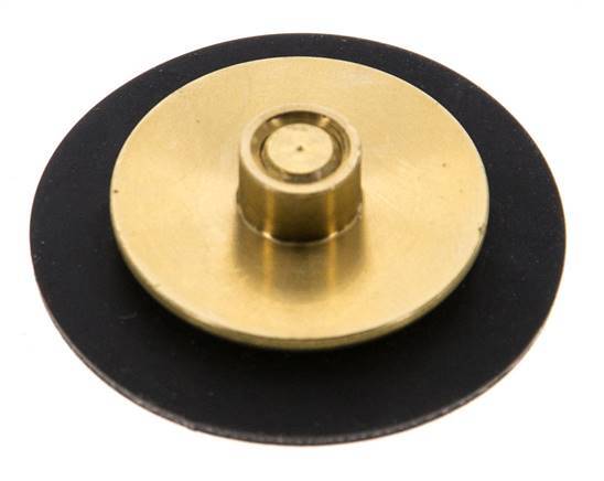 Replacement Diaphragm G1/4'' Water Pressure Reducers S-48RD
