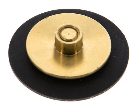 Replacement Diaphragm G1/4'' Water Pressure Reducers S-48RD