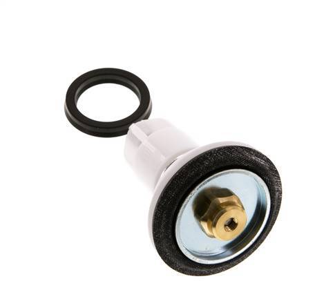 Valve Replacement Kit R 1'' and R 11/4'' 1.5 - 12bar Braukmann