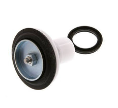 Valve Replacement Kit R 1'' and R 11/4'' 1.5 - 6bar Braukmann