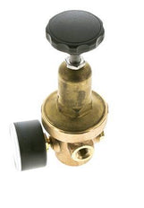 Water Pressure Reducer Bronze G1/4'' 8.3 l/min 0.2-2 bar/3-29psi