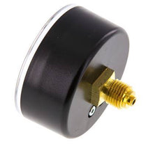 0..315 Bar Pressure Gauge Rear Plastic/Brass 63 mm Class 2.5