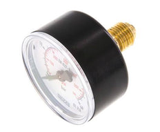 0..40 Bar (0..580 psi) Pressure Gauge Rear Plastic/Brass 50 mm Class 2.5