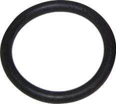 FKM 1-1/4"-SAE (3000/6000 PSI) SAE Flange O-ring [2 Pieces]
