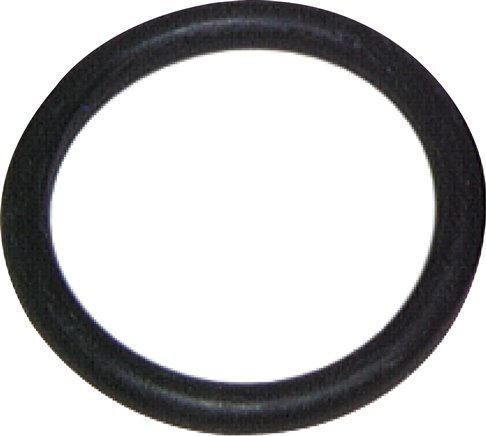 FKM 3/4"-SAE (3000/6000 PSI) SAE Flange O-ring [2 Pieces]