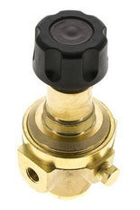 Pressure Regulator G1/4'' 490 l/min 2.0-30.0bar/29-435psi Brass