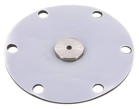 Replacement Diaphragm PTFE/NBR 1'' Stainless Steel