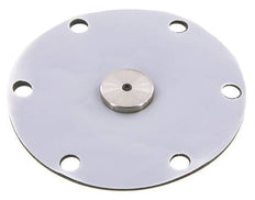 Replacement Diaphragm PTFE/NBR 1'' Stainless Steel