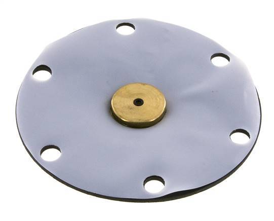 Replacement Diaphragm PTFE/NBR 1'' Brass
