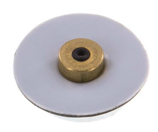 Replacement Diaphragm Pressure Regulator PTFE/NBR 1/4'' Brass