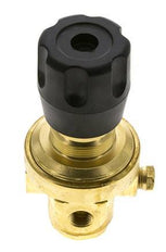 Pressure Regulator G1/4'' 490 l/min 0.1-1.5bar/1-22psi Brass CO2