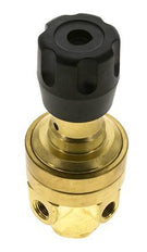 Pressure Regulator 1/4'' NPT 490 l/min 3.0-50.0bar/44-725psi Brass