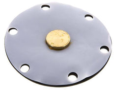 Replacement Diaphragm Gases and Liquids PTFE/NBR 1'' Brass