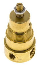 Pressure Regulator G1/4'' 330 l/min 1.0-15.0bar/14-218psi Brass Gases Liquids