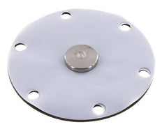 Replacement Diaphragm Gases and Liquids PTFE/NBR 1'' Stainless Steel