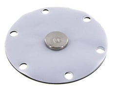 Replacement Diaphragm Gases and Liquids PTFE/NBR 1'' Stainless Steel