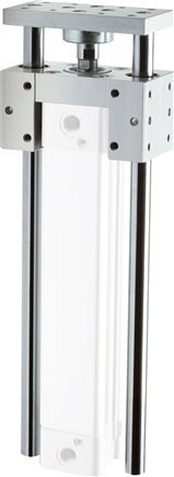 Rodless Cylinder 63-1400mm - Magnetic - Damping - Double Guide